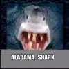 Hillbilly shark.jpg