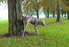 1F5D27BF-B853-4F1C-9E20-B965DD26D846.jpeg