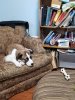 20201123_131944.jpg