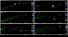 _AlgoSignals_MultipleInstruments_08-19-2016.png
