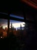 20241120_054913.jpg