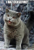 upload_2025-6-24_12-2-52.png