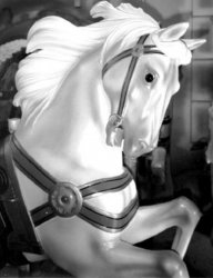 Baroquenhorse