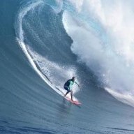 FXCryptoSurf
