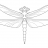 Dragonfly84