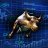 BearTrades