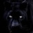 Black_Cat