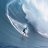 FXCryptoSurf